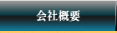 ЊTv